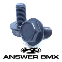 Answer BMX Crank Slider Bolt Kit 2 bolts