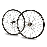 Answer BMX 20 x 1-1/8" Pinnacle Wheel Set